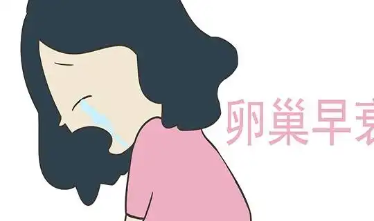雌激素旺盛好处多多,女性雌激素充足会有哪些表现