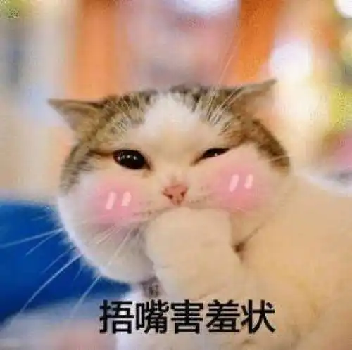 表情包系统提示,吸猫人士还有5秒到达斗图现场
