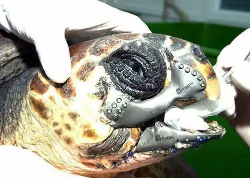 杀死女友,只是因为好玩,这人太嚣张了
