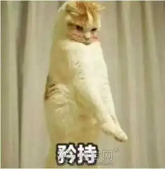 宝宝劣质服装黑名单,这些毒衣服一件也别给孩子买了
