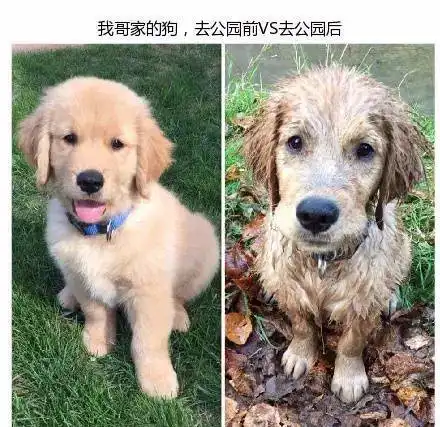 每日一笑,据说,所有女生出门都是这样搜狐搞笑搜狐网
