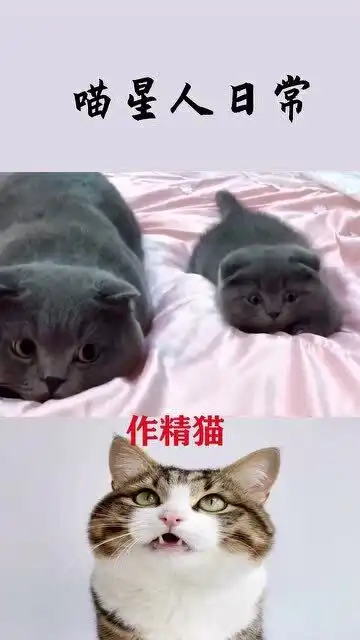 不愧是一对母子,同款动作同款表情,简直不要太萌
