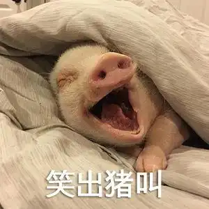小学生作文做一头猪火了,不努力就有吃喝,老师记得写作业
