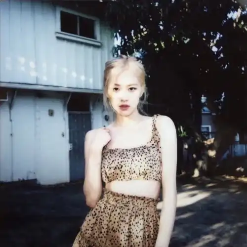 blackpinkrosie绝美头像,玫瑰就是要带刺儿

