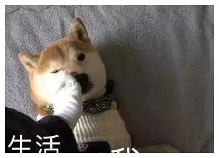 搞笑趣图段子妹子,,你头上的发卡挺别致呀
