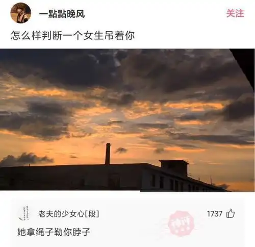 神回复人生得意须尽欢下一句
