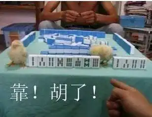 打麻将搞笑图片表情包