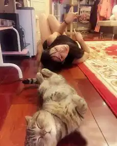 段子今天不打死你,老子跟你姓
