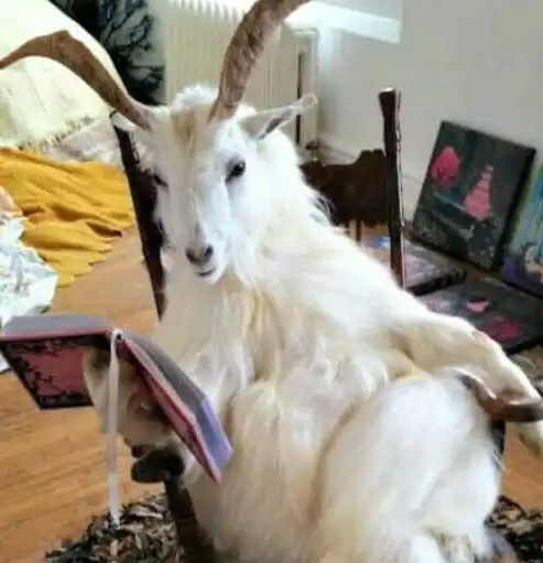 搞笑图片幽默段子笑话可以问一下退货的理由吗
