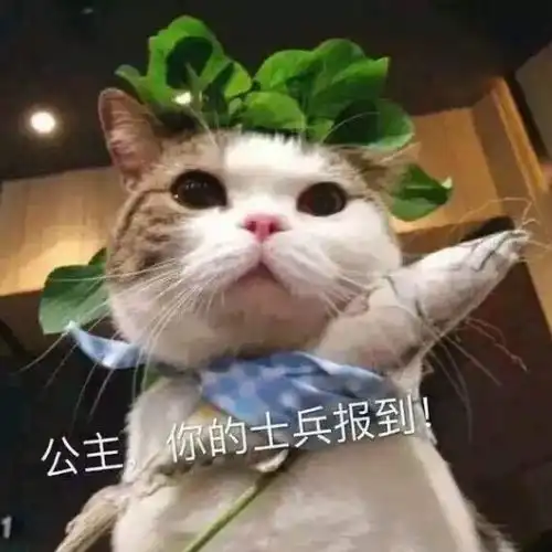 表情包小脚一趟,与我无关
