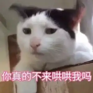 你别跟我翻旧账表情包