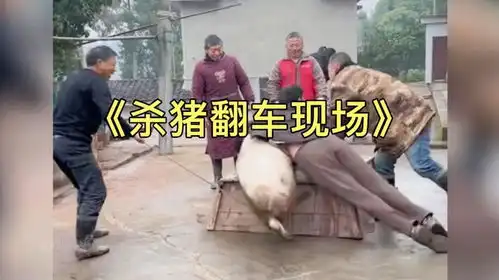 太搞笑了这年头猪脾气也太暴躁了杀猪也太难了
