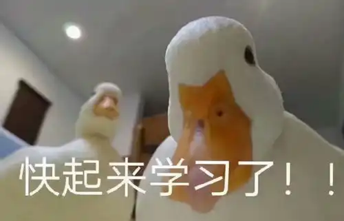 开车上路遇到障碍物,如何躲避
