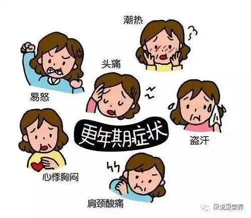 你来问,我回答
