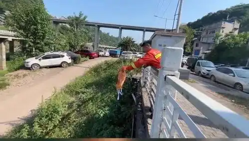黄鼠狼放臭屁熏吐正在抓捕的消防员,黄鼠狼放屁为何这么臭
