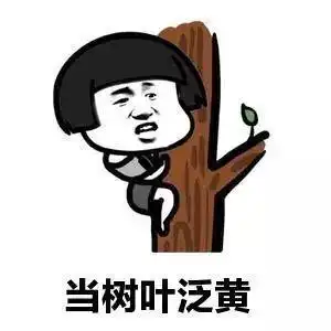 开心一笑本人有起床叠被子的习惯,这几天回家后
