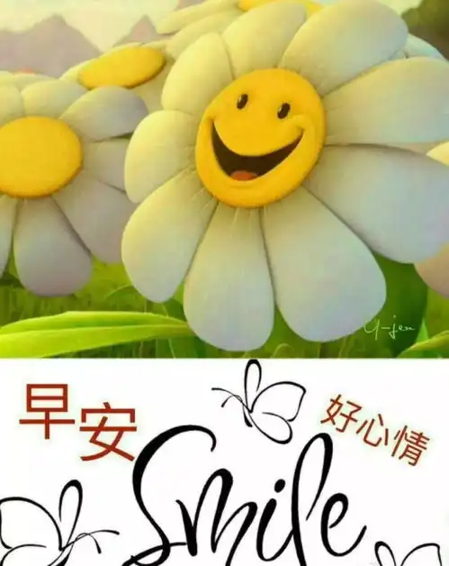 早上好亲爱的问候语图片带字,最特别的早上好温馨表情祝福语
