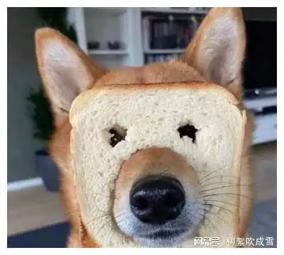 幽默笑话第一次见还有猕猴桃支付
