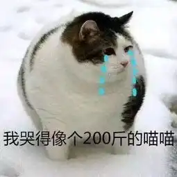 我他娘的到底要不要二战啊
