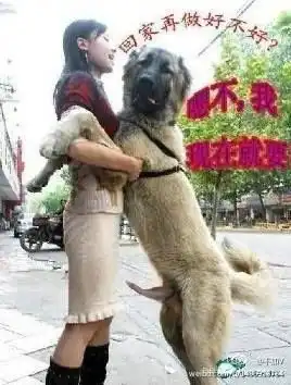 人家是阿紫,你不是游坦之
