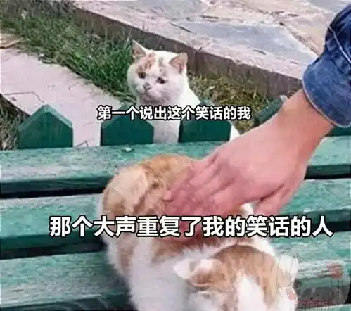 每日一笑因特大暴雨学校被迫停课,学生们苦不堪言
