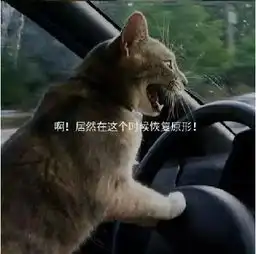 经典搞笑大师啊,苦海无边你一定要冷静啊
