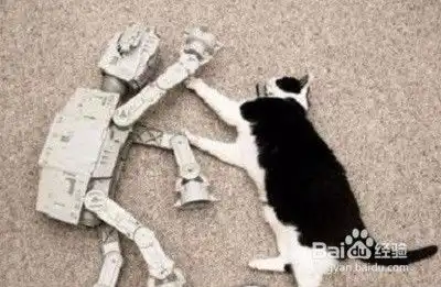 如何做一个有趣的人
