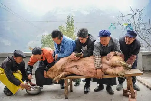 年味儿东北农村杀年猪记事
