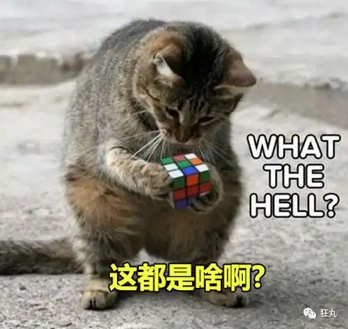 全球最难魔方都在这了,敢碰算你是王者
