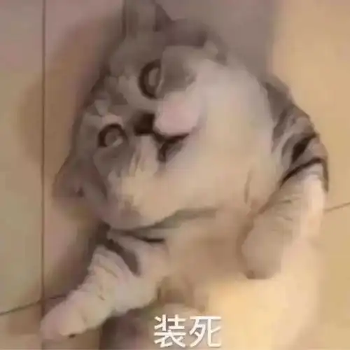 分享一组搞笑头像
