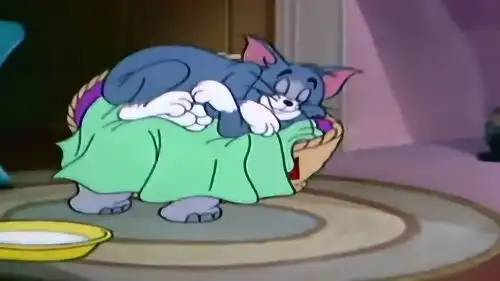 猫和老鼠汤姆睡在大象的身体上,接下来发生的笑得我肚儿疼
