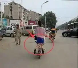 100块车模就可以领回家呢