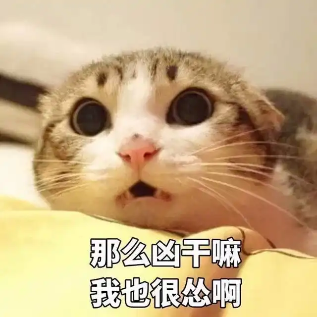 人善被人欺女孩坐地铁未戴口罩被骂,为何网友却为她抱不平
