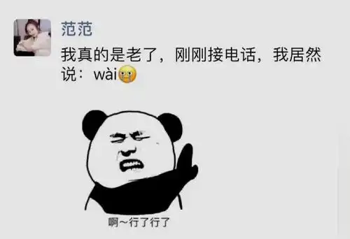 幽默诙谐有趣爆笑的搞笑图片傻猫你快把它放下来干饭羊油腹肌四声网易订阅

