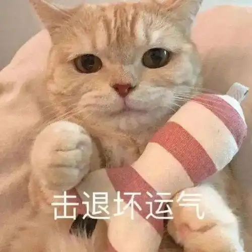 每日沙雕表情包