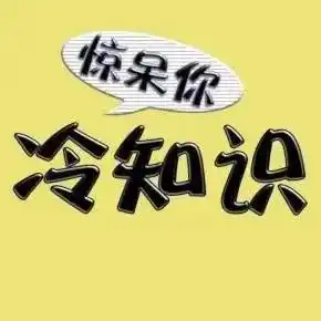 一篇让你眼前一亮的养生指南
