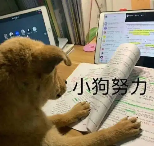 狗狗可爱表情包宝宝