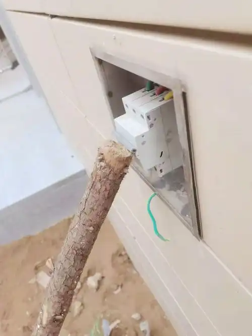 搞笑图片仙长在宿舍里潜心修炼,终于炼出两枚龙角肉芽
