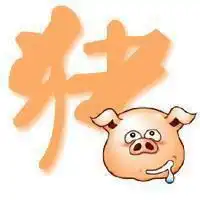 搞笑猪头微信头像下载微信头像图片大全
