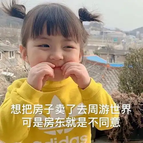 表情包我在做饭没空回你