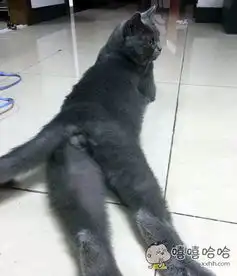 黑丝,大长腿,性感
