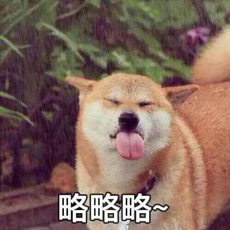 略略略表情包略略略动态表情包
