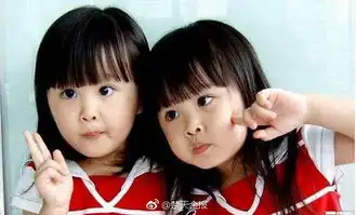 台湾最美双胞胎长大什么叫做从小美到大
