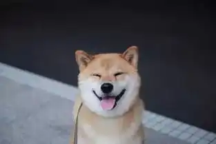 柴犬表情包带文字急刹车