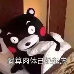 抖音熊本熊起床表情包大全抖音熊本熊起床是什么高清组图分享
