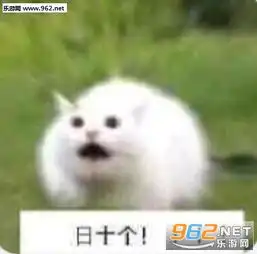 我们群主敢日五档电风扇表情包我们群主敢日表情包下载乐游网游戏下载

