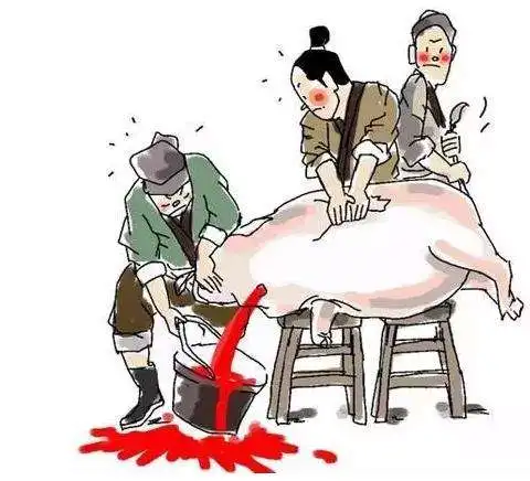 一头猪的爆笑自传八戒看到怕是得气死
