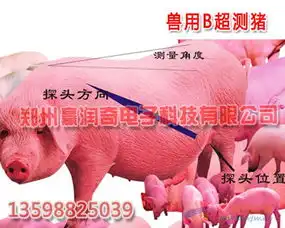 美国大立品牌背膘仪厂家搞活动1800元,进口背膘仪价格
