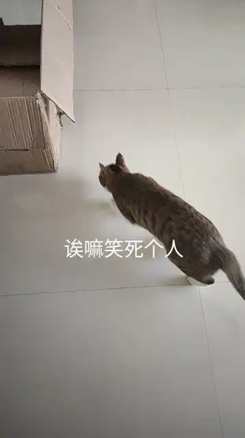 你是猴子派来搞笑的吗
