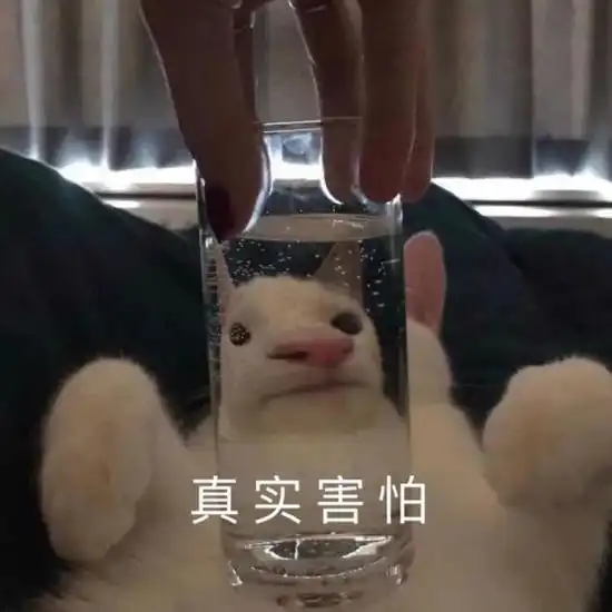 夏季10强面霜来咯快来看看你用过几款
